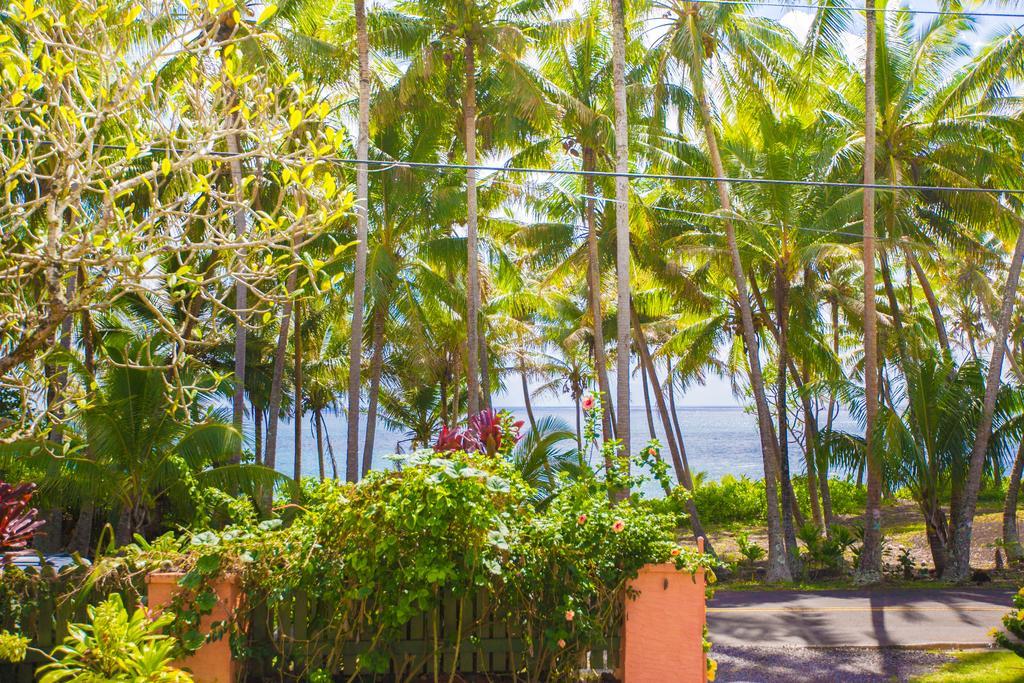 The Dolphin Cottage At Kehena Beach Esterno foto