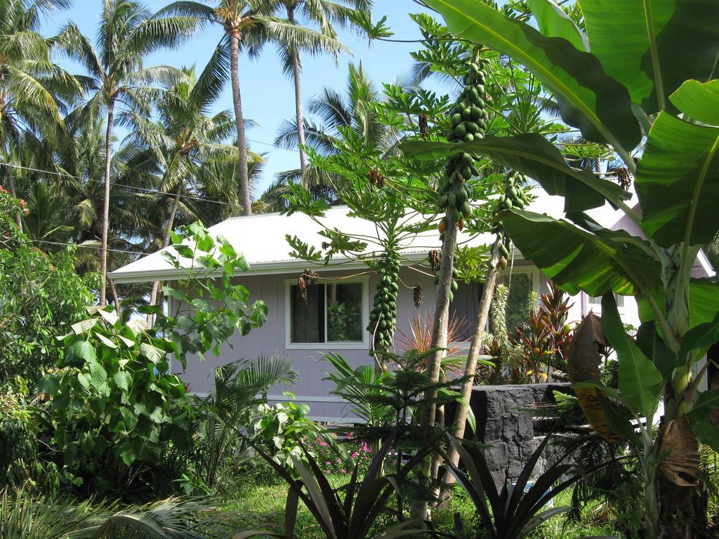 The Dolphin Cottage At Kehena Beach Esterno foto