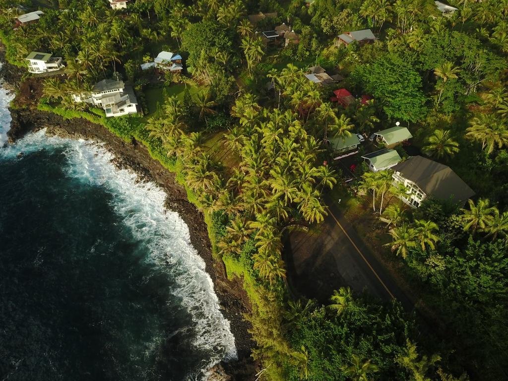 The Dolphin Cottage At Kehena Beach Esterno foto